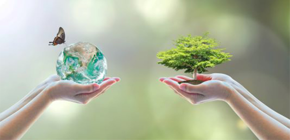 Navigator environment image