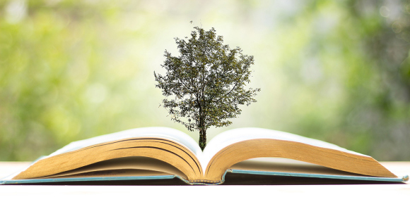 Story marketing