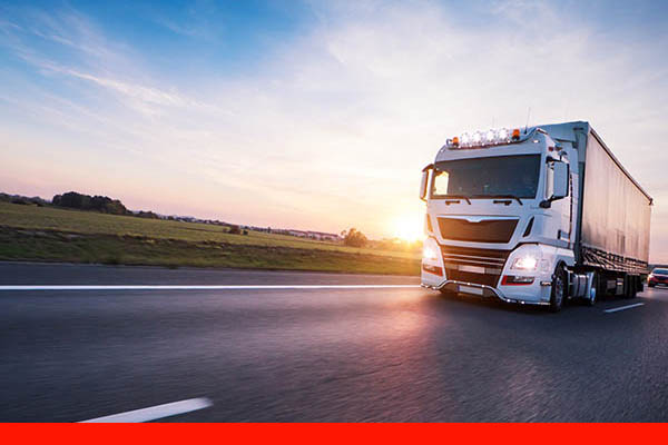 3PL & Logistics