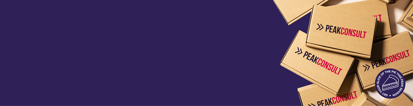 peakConsult Banner