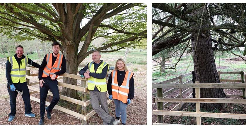 Antalis Team Building at Bradgate Park