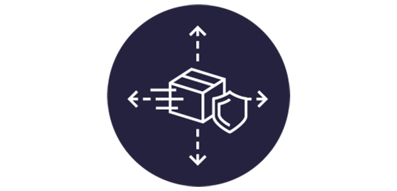 Reduce Shipping Damage Icon