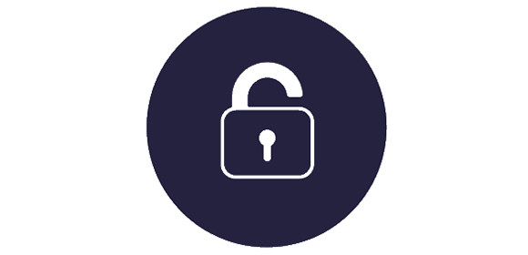 Secure Icon