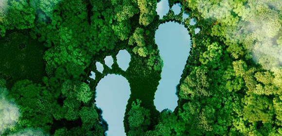 Sustainability and printed communication