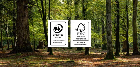 Forest Management