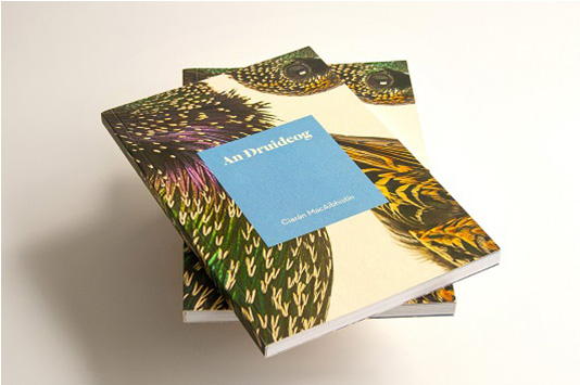 Druidoeg  books stacked