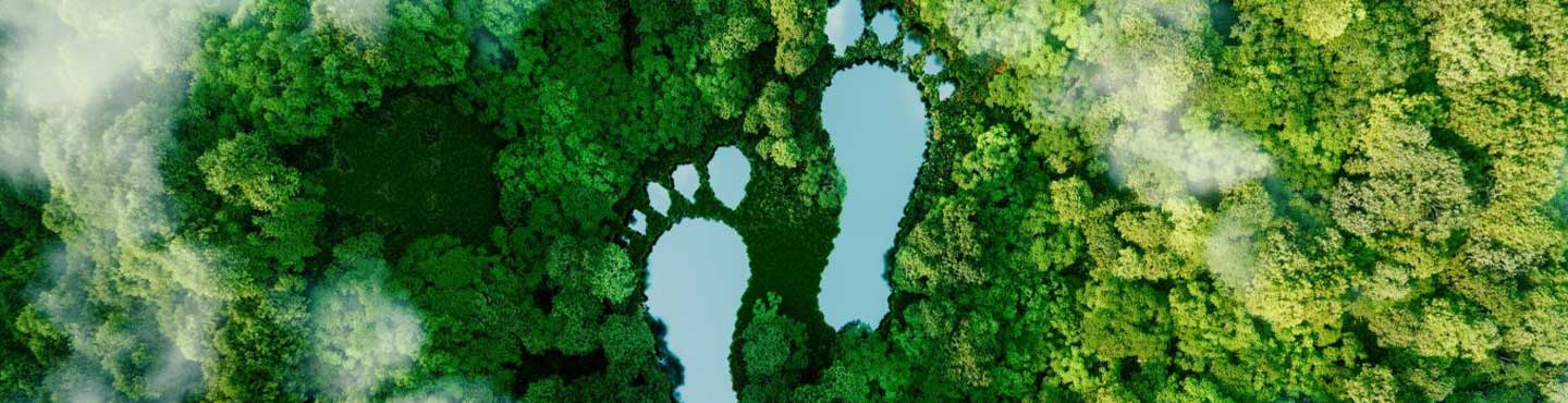 Carbon Footprint