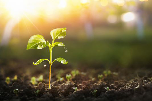 sustainability image
