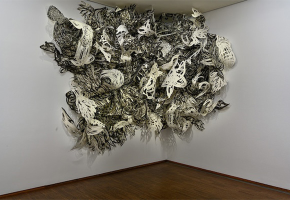 birgit knoechi