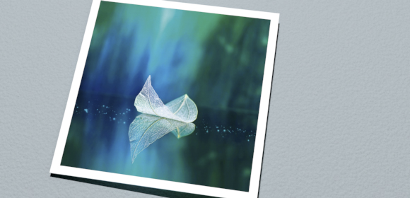 Cocoon paper 100% white
