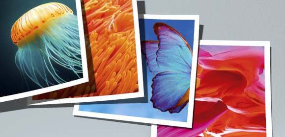 Cocoon  paper for mailings and envelopes