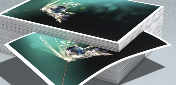 Cocoon paper high quality printing