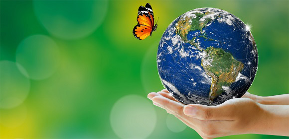Environmental And Social Sustainability