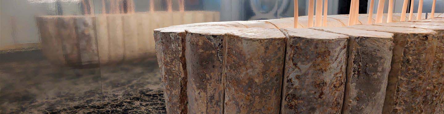 HIX bar Coala Case Study banner