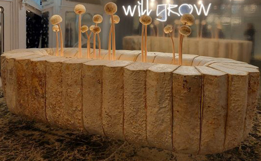 HIX Mush Room pop-up space by artist Côme di Meglio