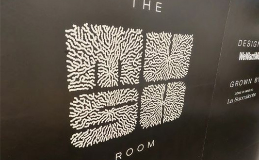 HIX Mush Room live bar pop-up space