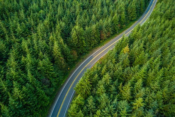 Green Connection