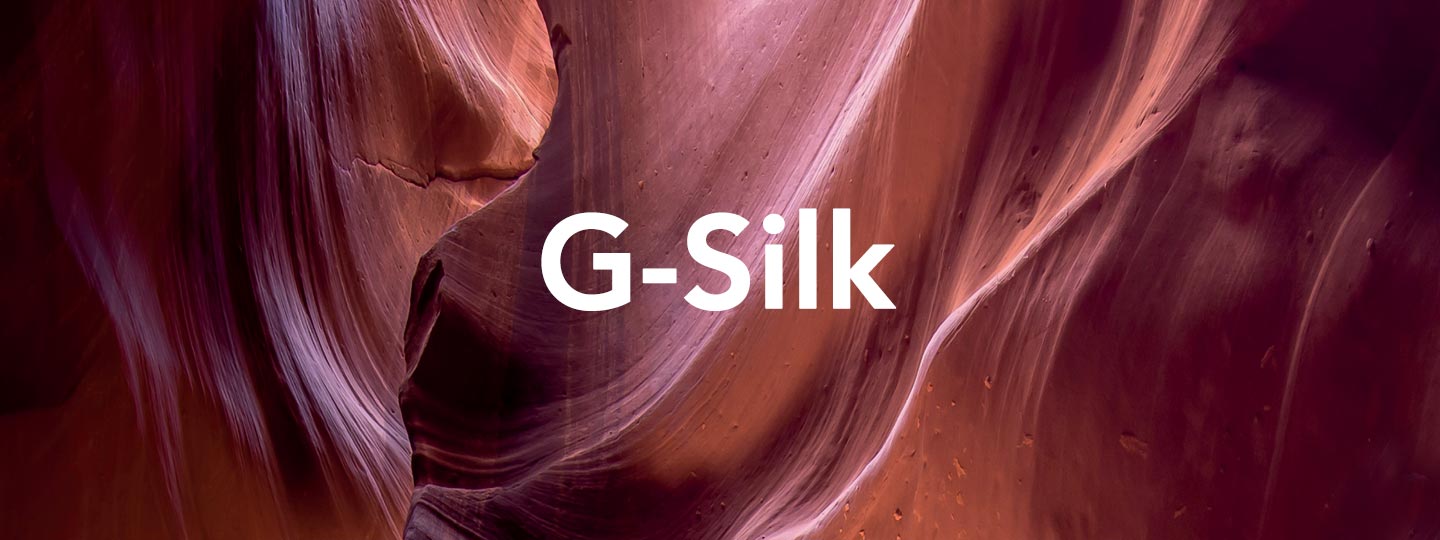 G_Silk_brand_Big_02.jpg