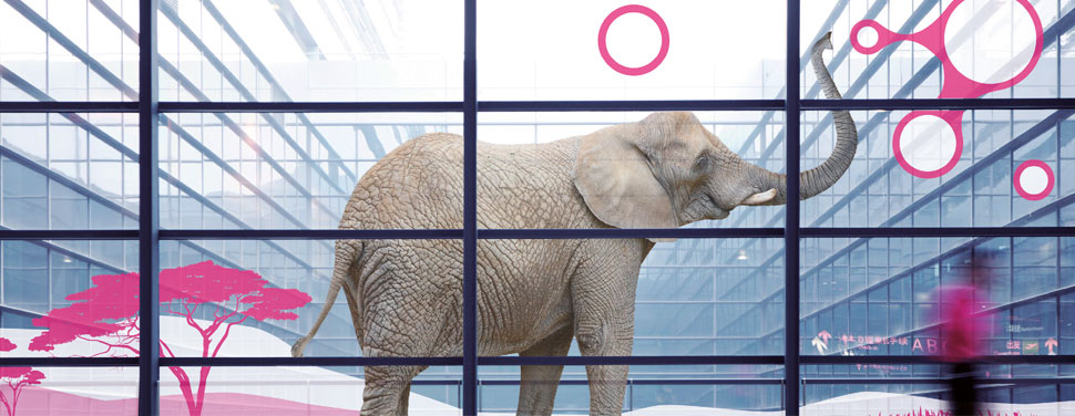 Formation pose adhésif classique