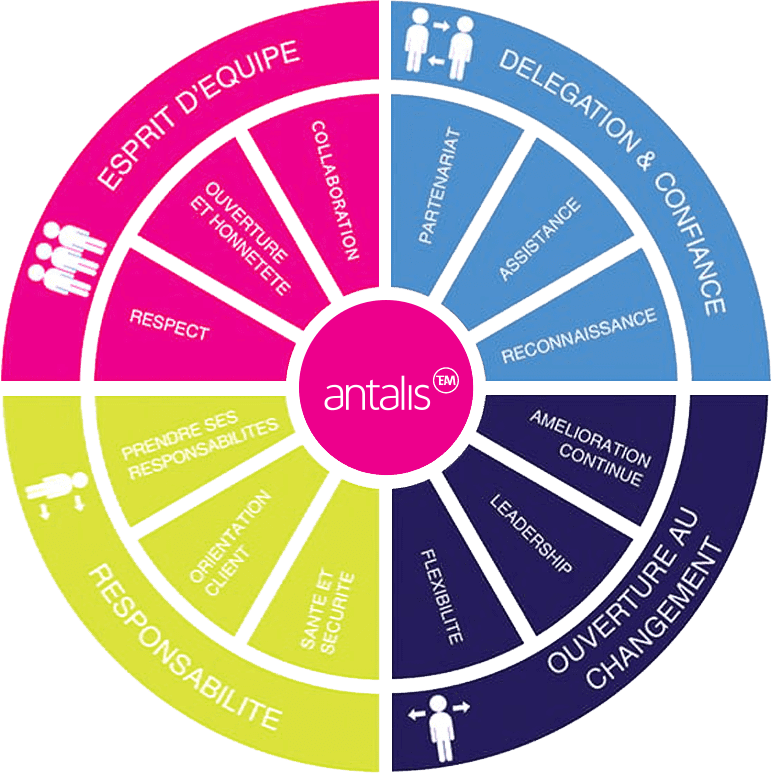 Valeurs et comportements Antalis