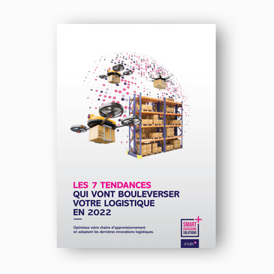 lead_blog_livre_blanc.jpg