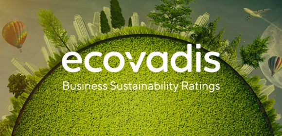 governance ecovadis