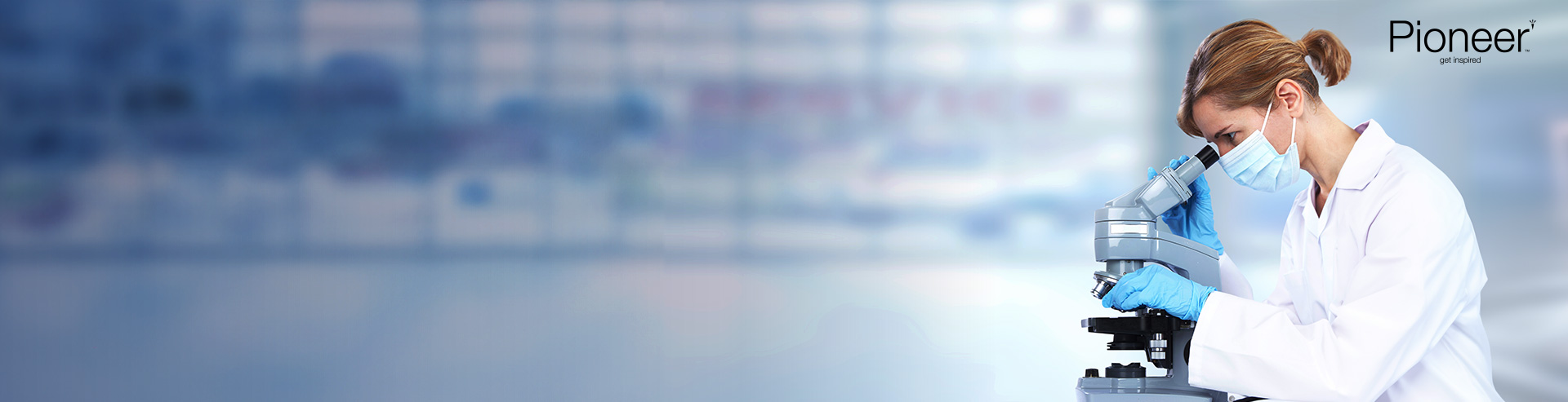 SectorBanner.jpg