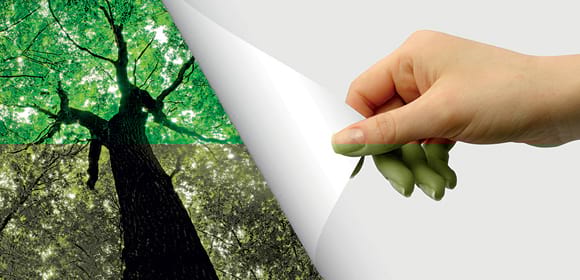 img-home-ecoresponsable.jpg