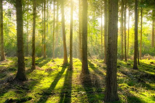 antalis-env-environnement-resize640x400-crop600x400.jpg