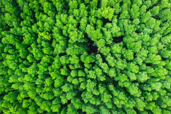 antalis-env-environnement-2.jpg