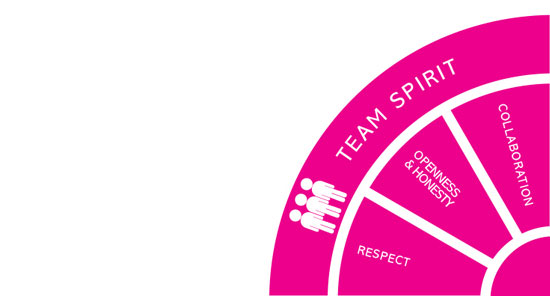 team spirit