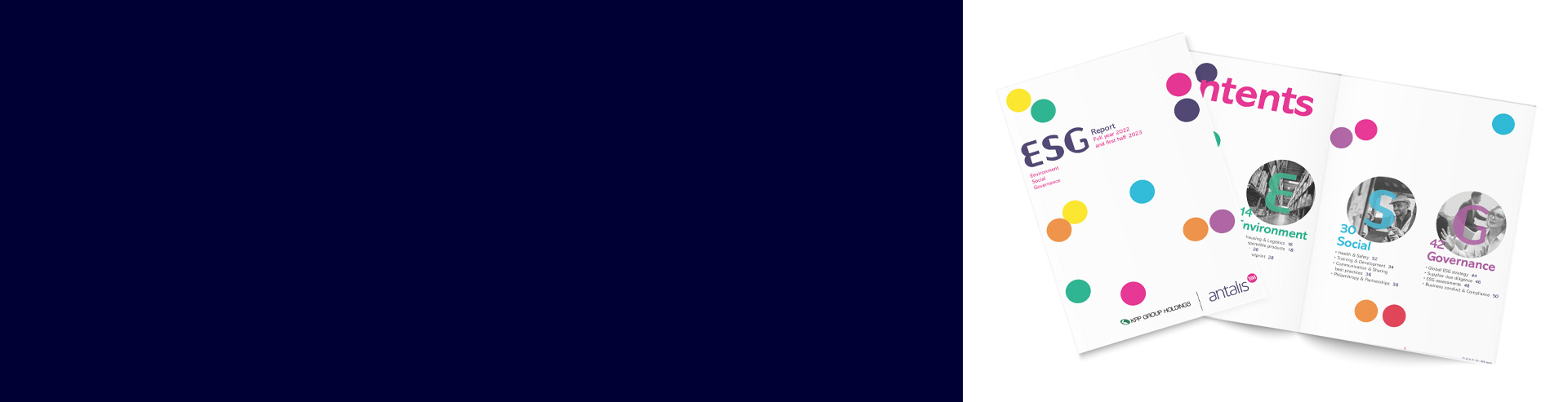 esg-report-caroussel-banner-1920x493.jpg