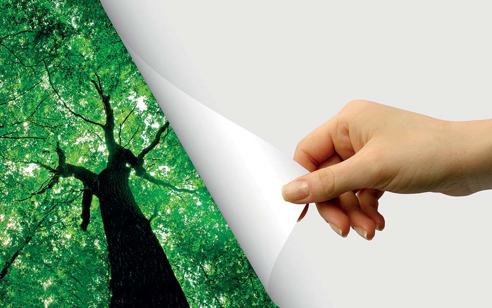 img-service-eco-responsable.jpg