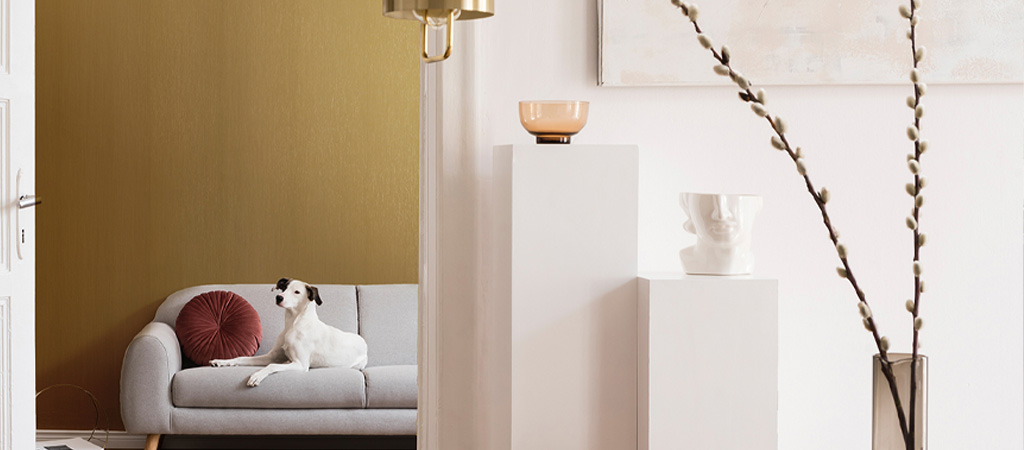 Chien assis sur un divan devant un mur habillé d'un film décoratif Coala Interior Film Métallique