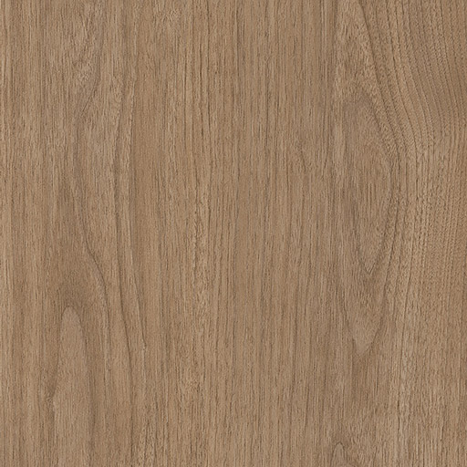 Coala Interior film Bois