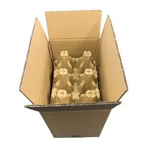 Antalis-protected-bottles-in-packaging 300x300.jpg