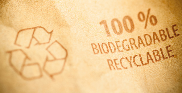 Eco-friendly-packaging-solutions-body-3.jpg