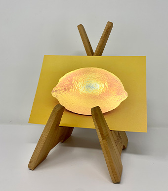 Ecofoil