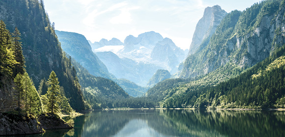Nautilus - image paysage naturel