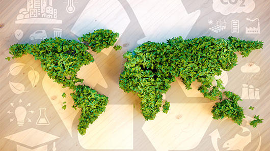 Olin - Eco-friendly paper