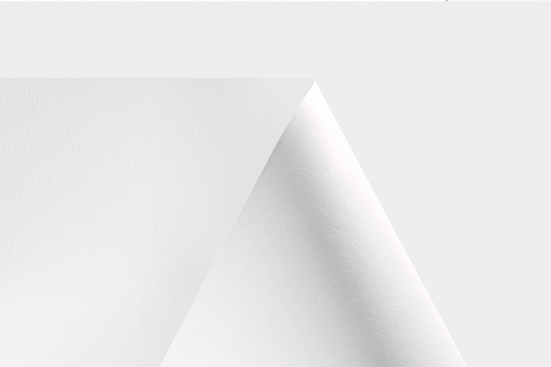Olin Design et l'environnement