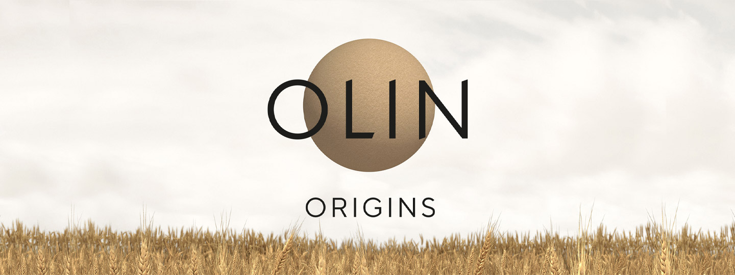 Bannière Olin Origins