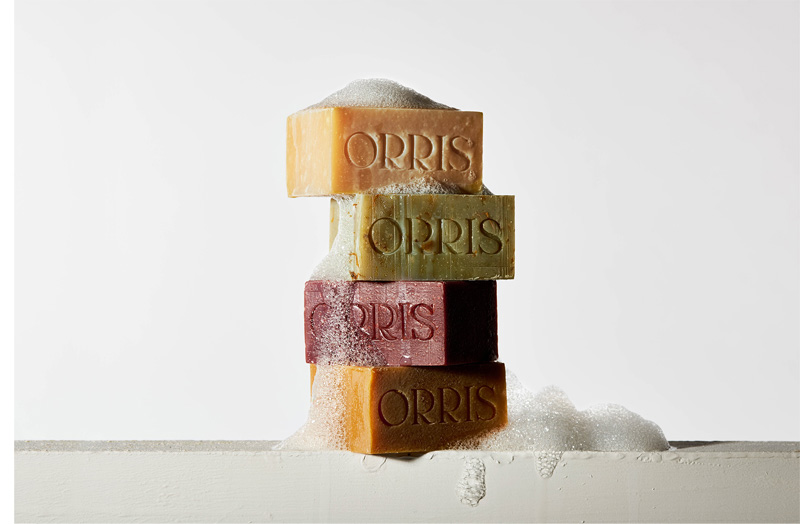 TBIxAntalis_Image_2.jpg