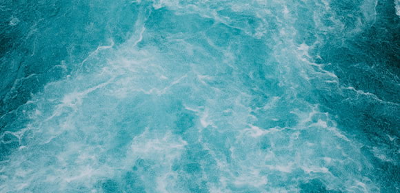Nautilus image d'ambiance mouvement dans l'eau