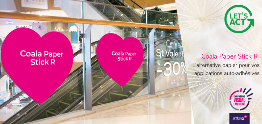 Coala_paper_Stick_R_FR.jpg