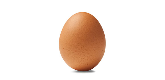 Coala rapport qualité prix - image d'un oeuf