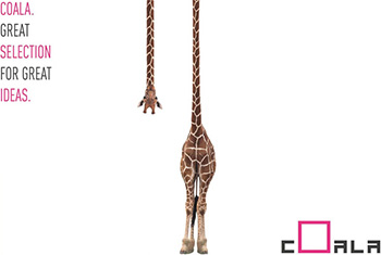 Logo Coala et illustration d'une girafe
