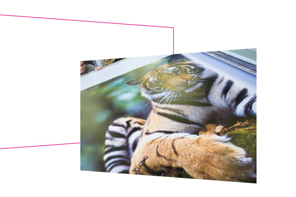 widest range of substrates