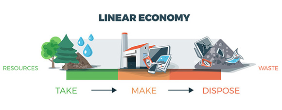 Economie linéaire