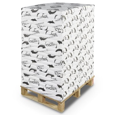 Papier Offset Preprint 100% recyclé Blanc 80 g/m² 450 mm x 640 mm Cyclus enramé